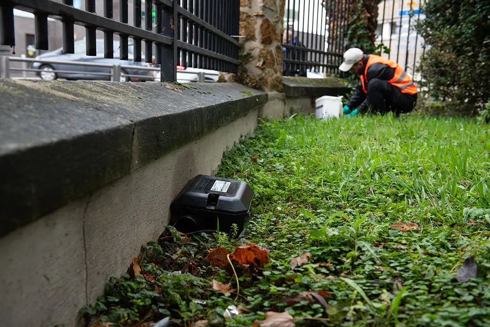 Postes d'appâtage sécurisés, posés hors de portée