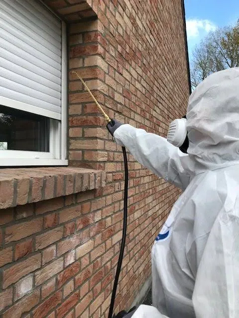 Notre technicien traitant les abords d'une fenêtre au pulvérisateur